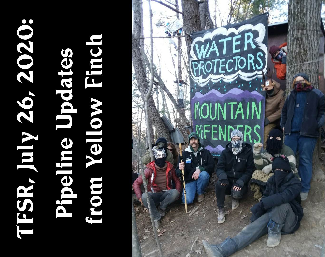 Pipeline Updates from Yellow Finch Tree Sit