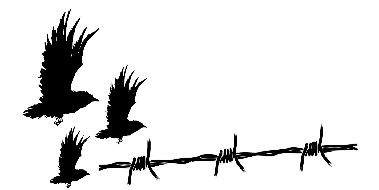 The Russian Political Landscape and Anarchist Prisoners