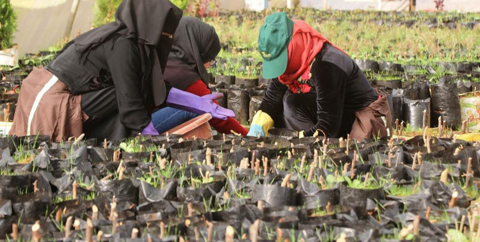 Rojava Again Under Threat of Turkish Invasion
