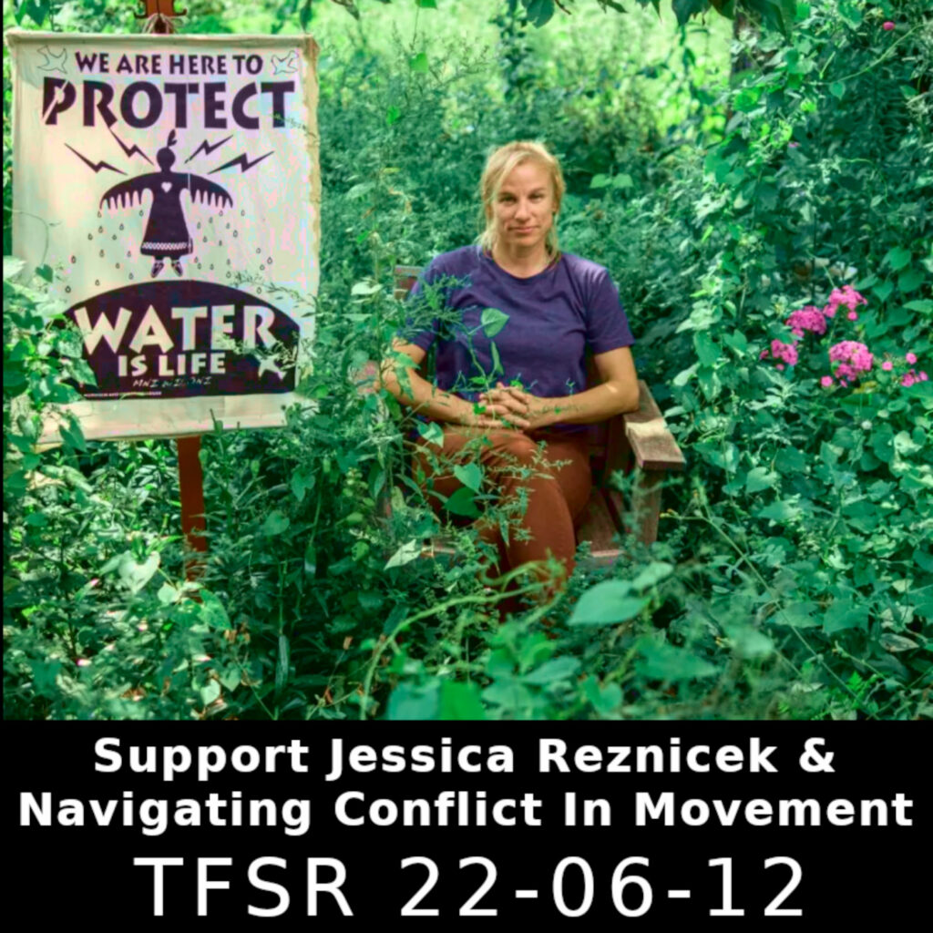 Photo by Cristina Yurena Zerr of Jessica Reznicek sitting among green plants and purple flowers next to a banner reading “We Are Here To Protect | Water Is Life”, other text reading “Support Jessica Reznicek & Navigating Conflict In Movement | TFSR 22-06-11”