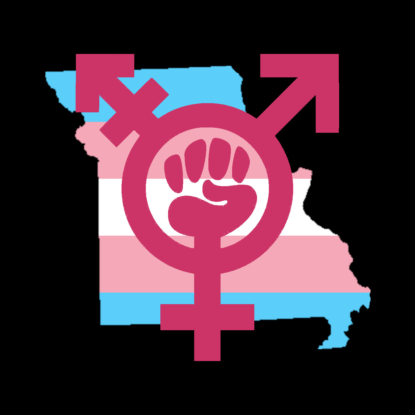 Mid MO Trans Folks on Living Under Emergency