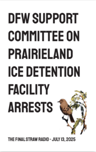 zine cover of "DFW Support Committee on Prairieland Ice Detention Facility Arrests | The Final Straw Radio - July 13, 2025" featuring a mockingbird on a mesquite branch